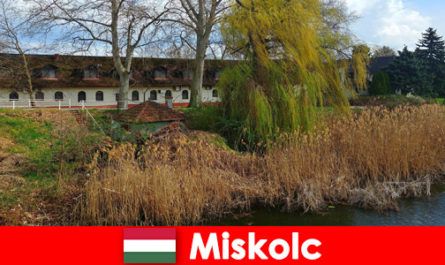 Comparar precios de hoteles y alojamiento en Miskolc Hungría merece la pena