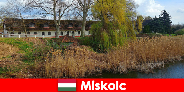 Comparar precios de hoteles y alojamiento en Miskolc Hungría merece la pena