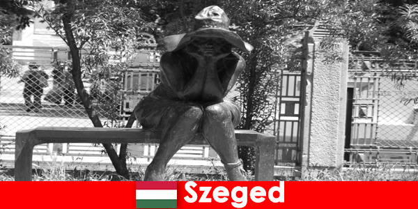 Hay numerosas figuras de piedra para admirar en Szeged Hungría