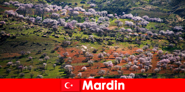 Experimente la naturaleza virgen y muchos animales nativos al aire libre en Mardin Turquía