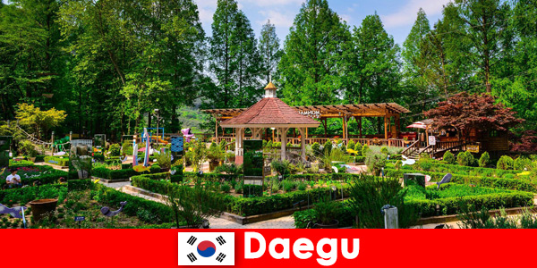 Daegu en Corea del Sur la ciudad con diversidad y muchas vistas
