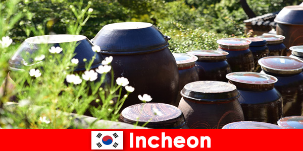 Observe lagos de montaña y una variedad de plantas en Incheon Corea del Sur