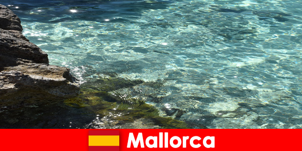 Un lugar de ensueño y añoranza para todos los visitantes es Mallorca en España