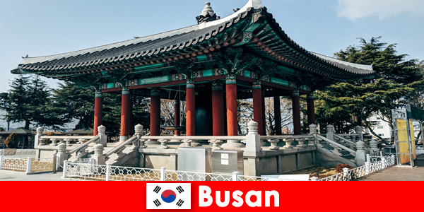 Siempre vale la pena ver los templos decorados en Busan, Corea del Sur
