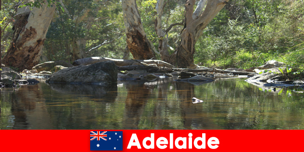 Experimente la naturaleza en su máxima expresión en Adelaide