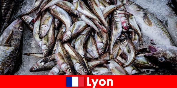 Pescados y mariscos frescos cocinados a la perfección para disfrutar en Lyon