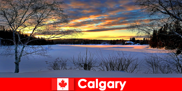 Disfruta de un paisaje invernal con un ambiente especial para vacacionistas en Calgary